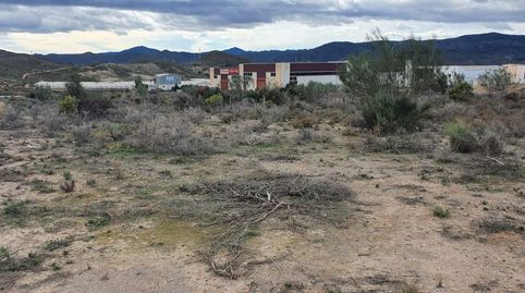 Parcela Rustica en el Poligono Industrial de Cantoria