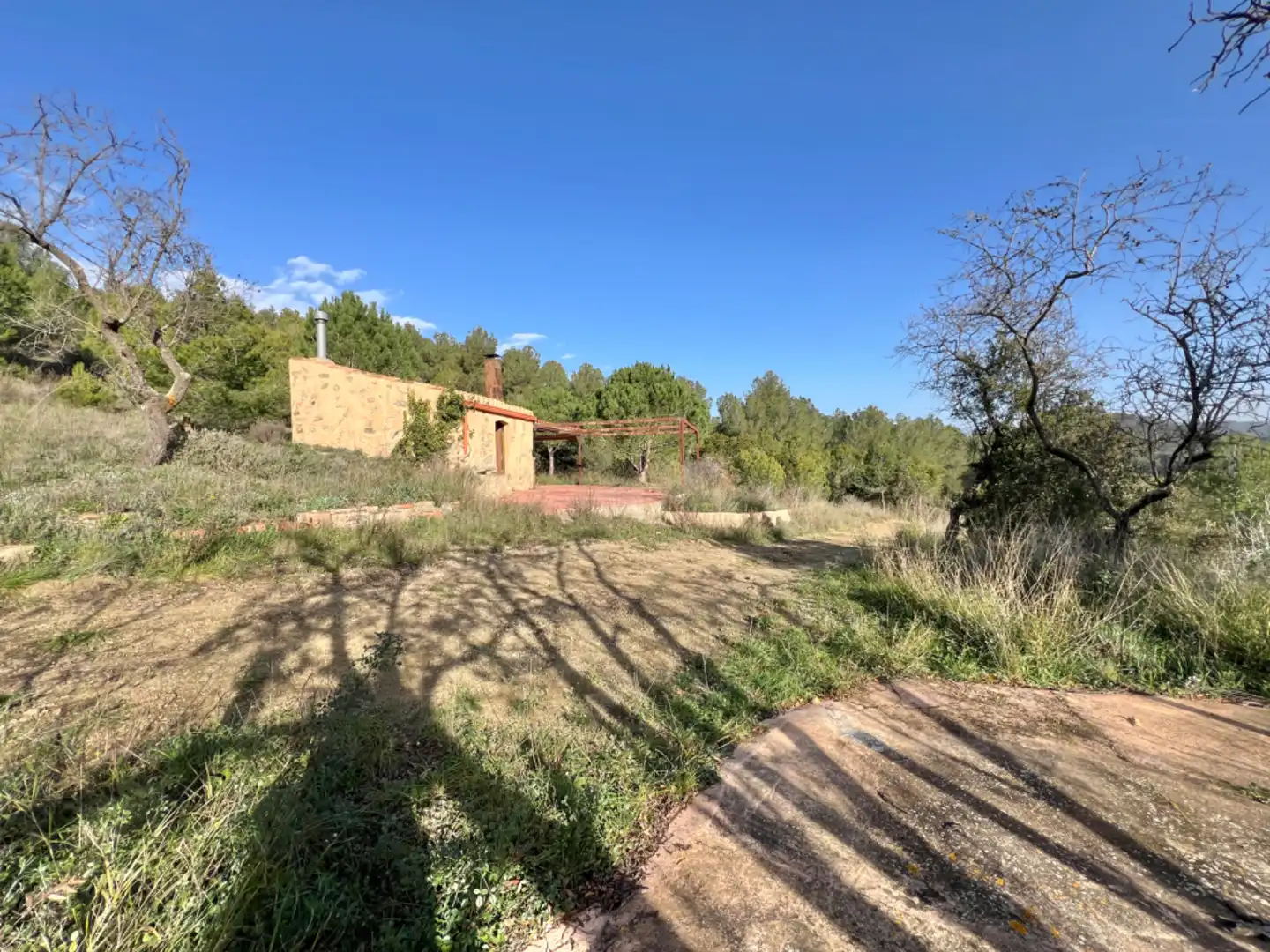 Terrain rustique à vendre à Riudecols, imagen 4