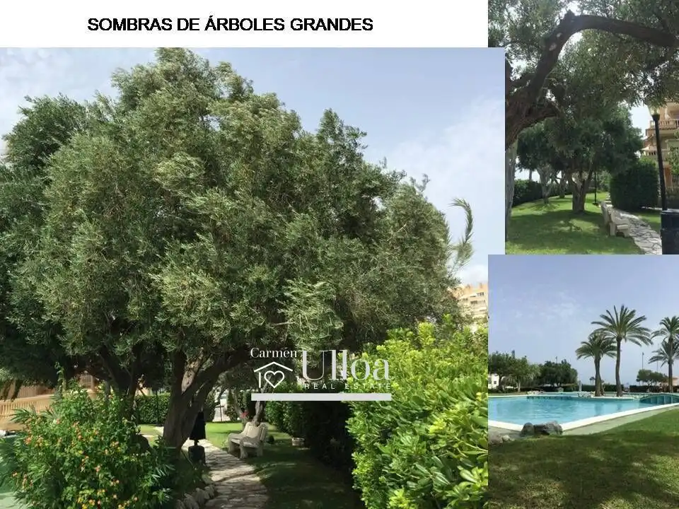 Jardín de Piso en venta en El Campello con Terraza y Piscina comunitaria