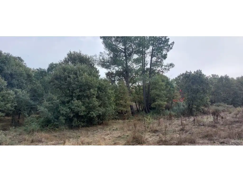 Maison à vendre à Poligono 39 Paraje 484 Rivera Avid, imagen 7