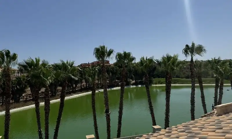 Villa mit Pool zum Verkauf in Calle  Río Segura, imagen 16
