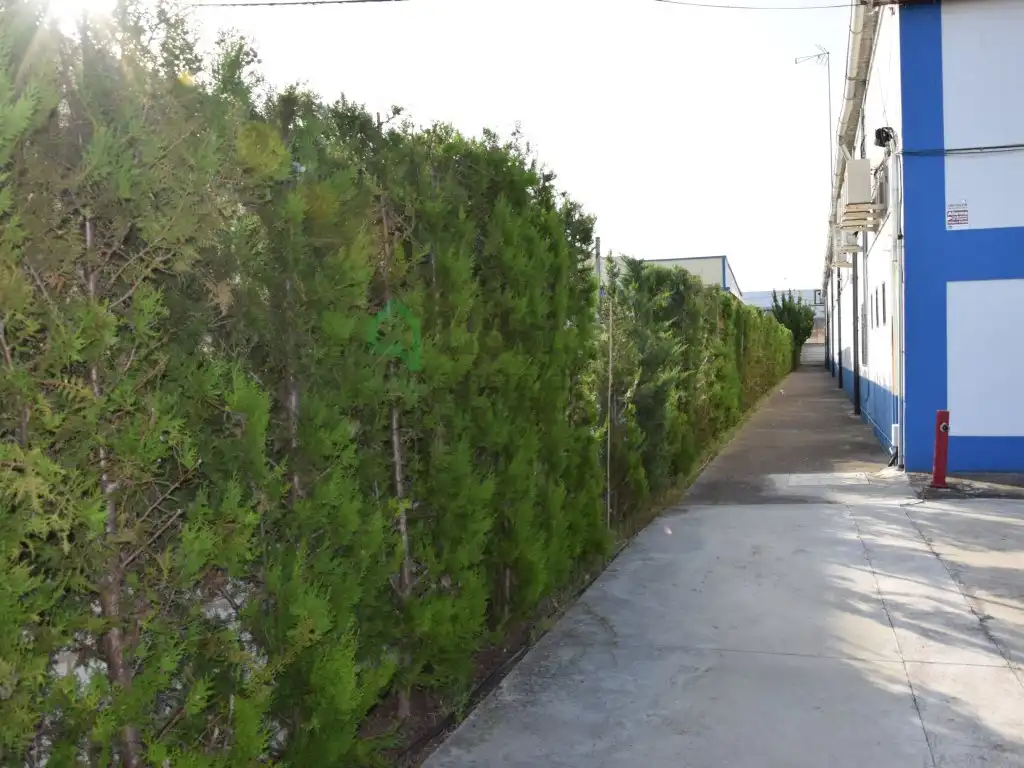 Vista exterior de Nau industrial en venda en Badajoz
