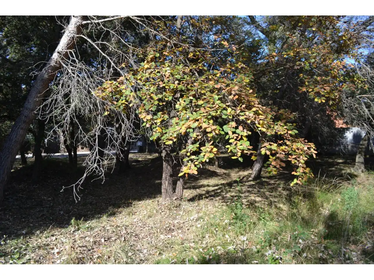 Terrain résidentiel à vendre à Calle Cavall Bernat, imagen 8