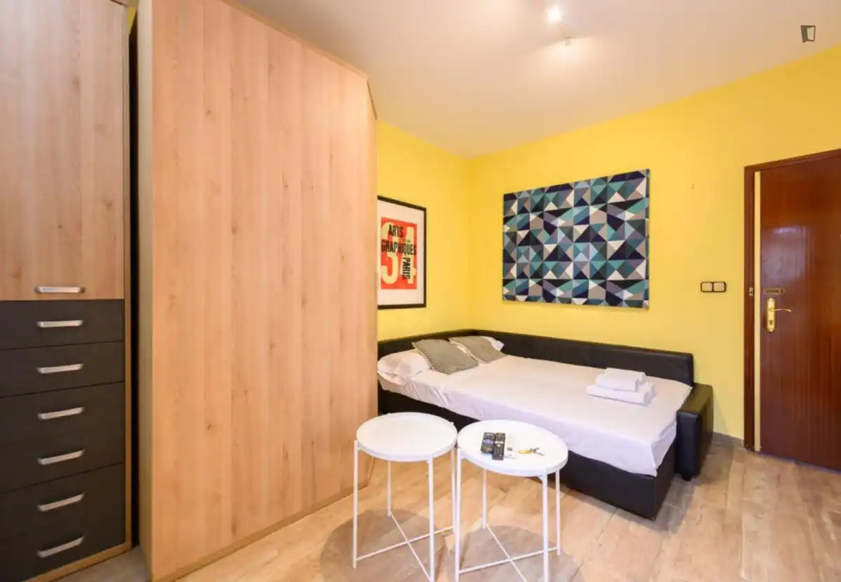 Studio à louer à Centro, imagen 4