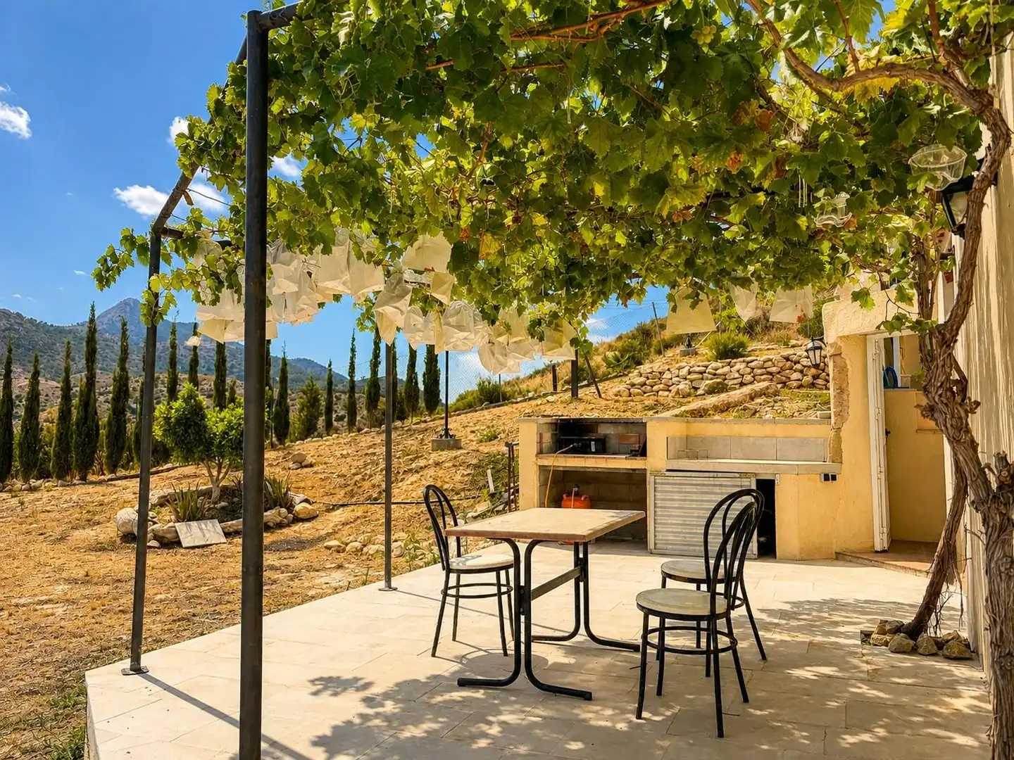 Terrassa de Casa o xalet en venda en Aspe amb Jardí privat, Terrassa i Traster