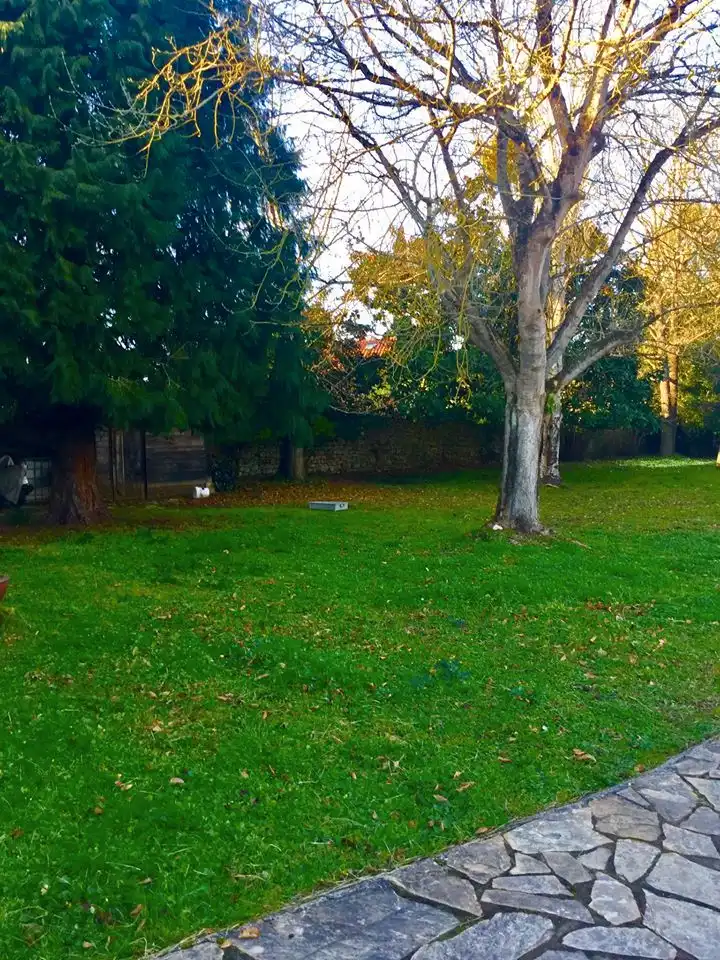 Jardí de Casa o xalet en venda en Reocín amb Calefacció, Parquet i Terrassa