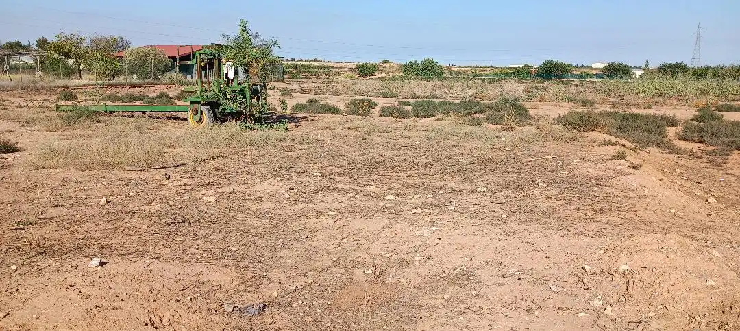 Rustikales Grundstück zum Verkauf in Pedanías Oeste, imagen 3