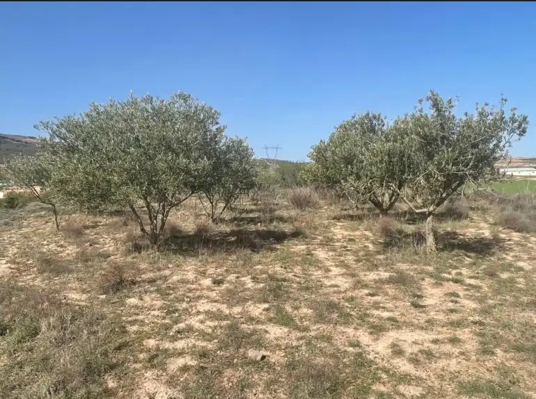 Rustikales Grundstück zum Verkauf in Ribafrecha, imagen 2