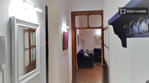 Photo 2 of Apartment to share in El Sindicat,  Palma de Mallorca