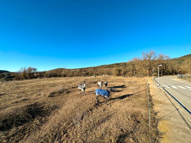 Terreno residencial en Venta en Camí del Vilar en Sant Boi de Lluçanès