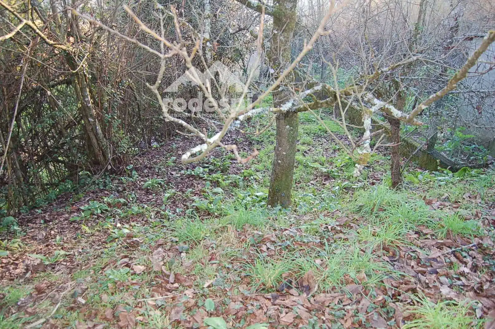 Terrenys i solars en venda a Ponteareas, imagen 2
