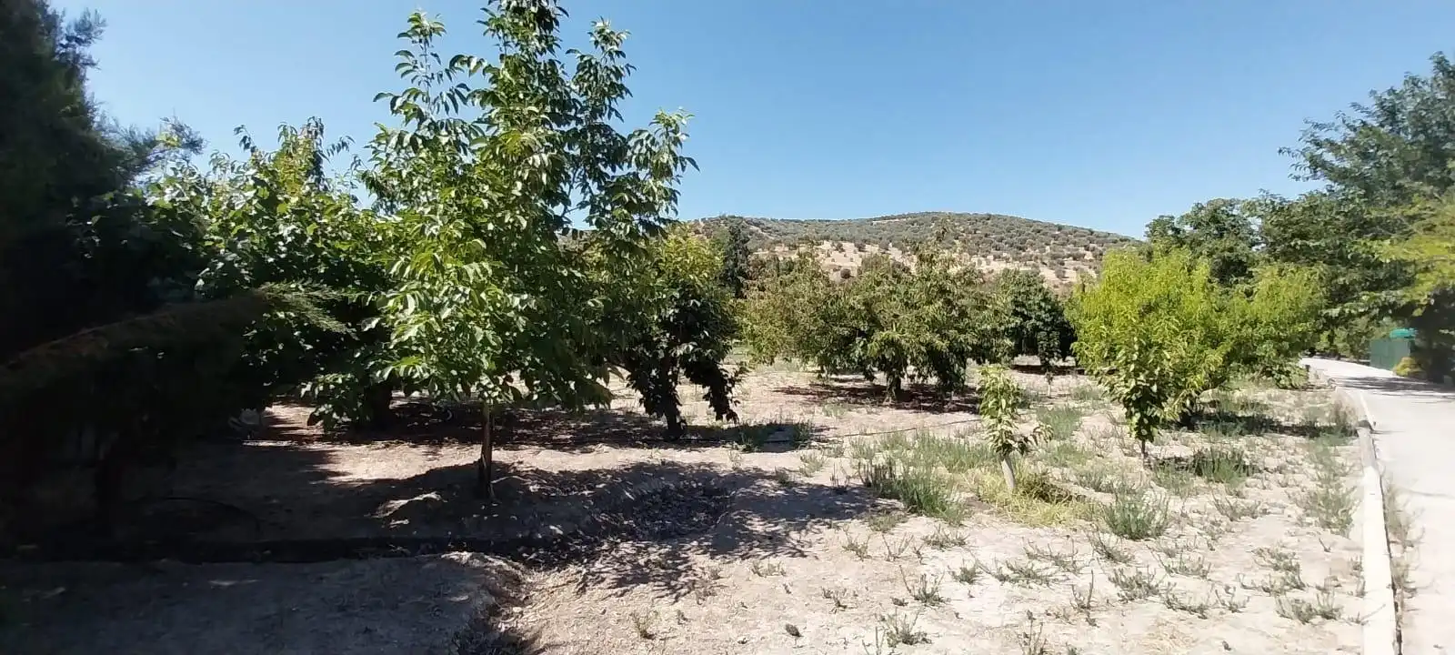 Country homes for sale in DISEMINADO, Castillo de Locubín