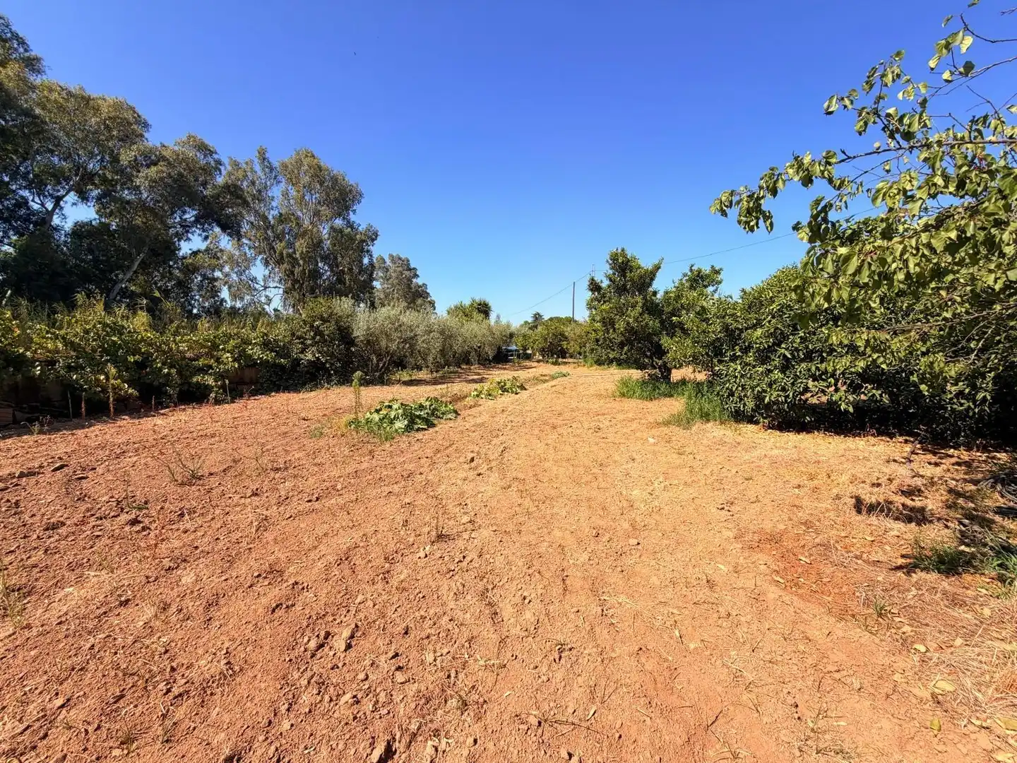 Casa o chalet en venta en Valverde de Mérida con Jardín privado, Terraza y Trastero