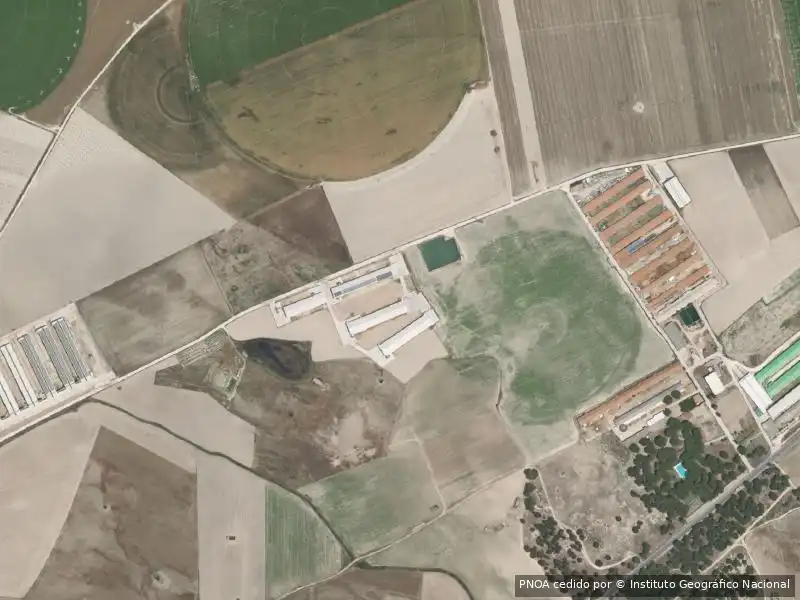 Appartamento in vendita a Olmedo, imagen 5