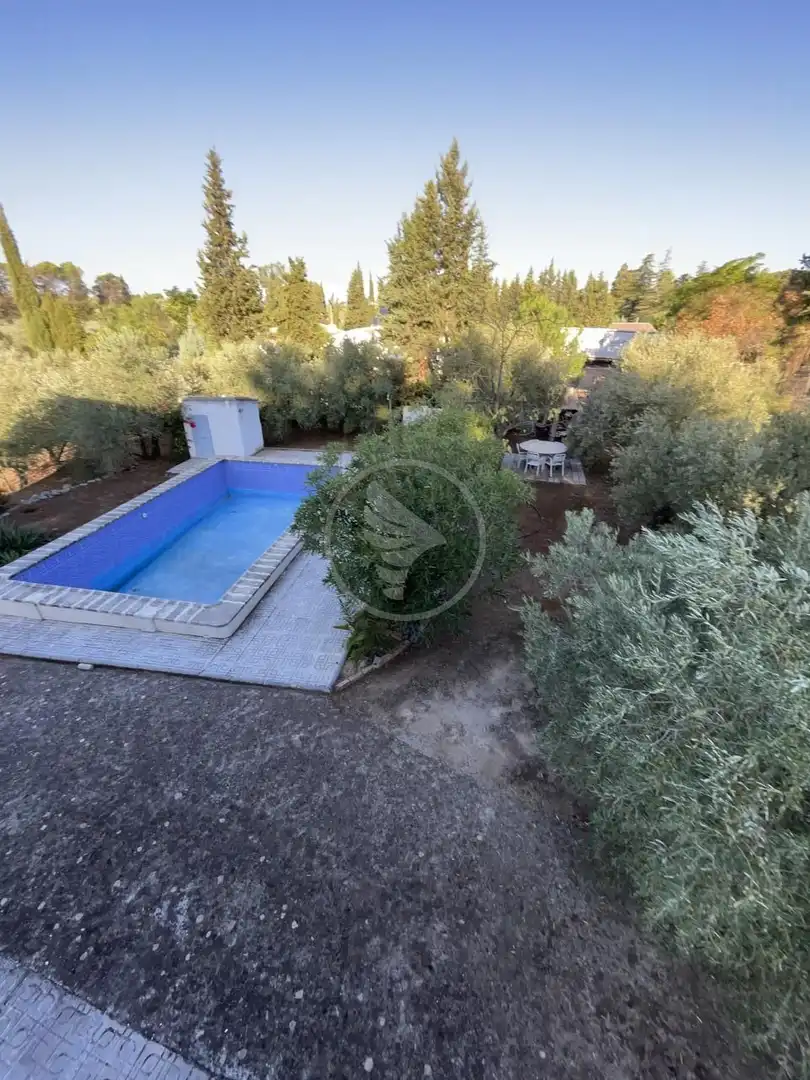 Piscina de Finca rústica en venta en Linares con Piscina