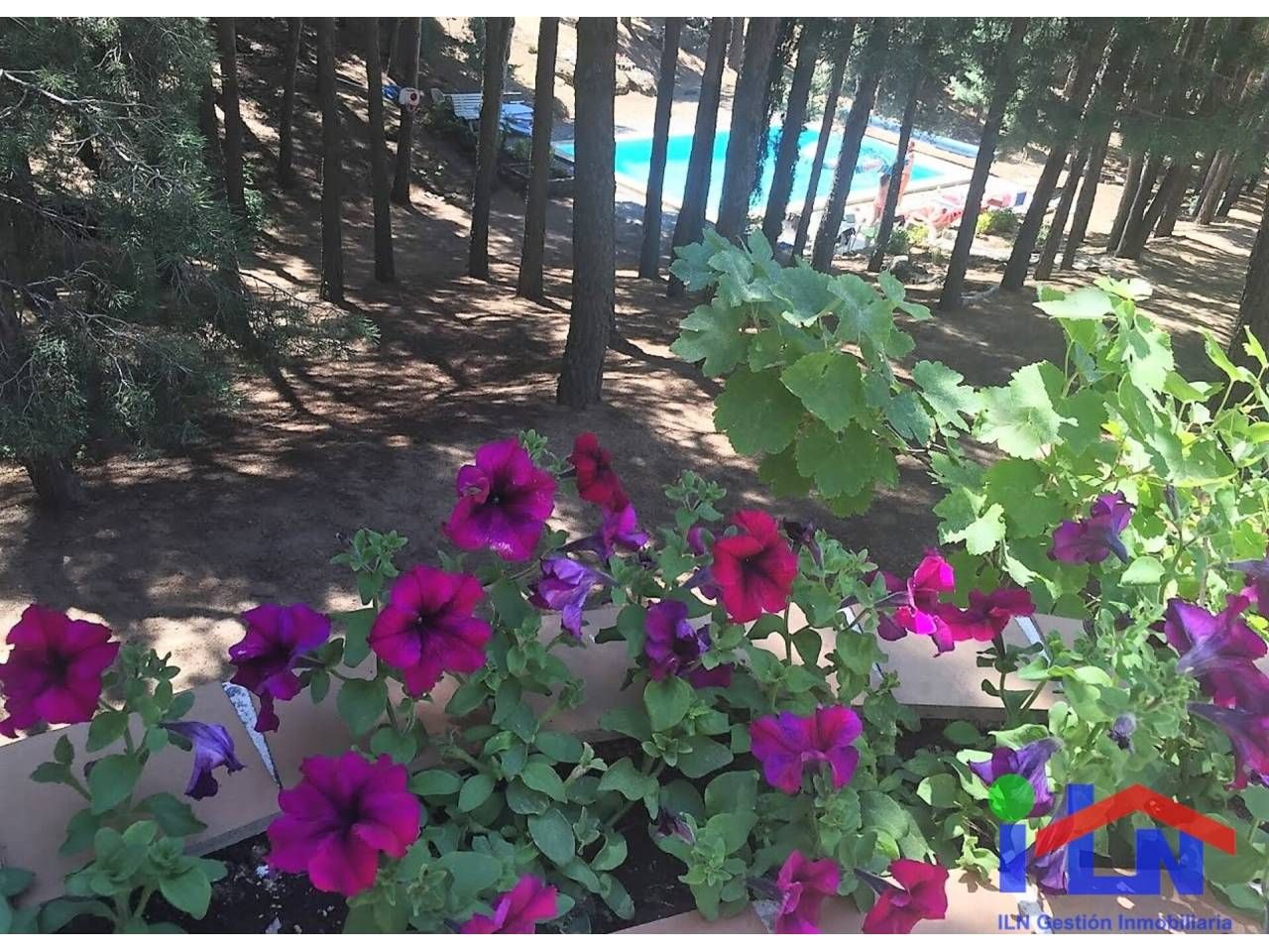 Garden of House or chalet for sale in Navalperal de Pinares  with Heating, Private garden and Terrace