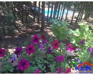 Garden of House or chalet for sale in Navalperal de Pinares  with Terrace and Swimming Pool