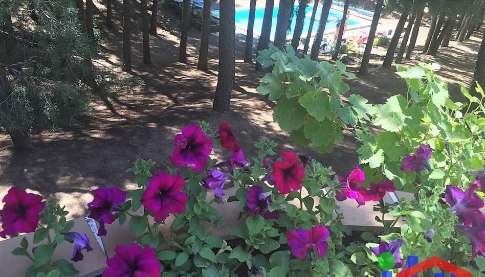 Foto 1 de Casa o xalet en venda a Los Rosales, 17, Navalperal de Pinares, Ávila