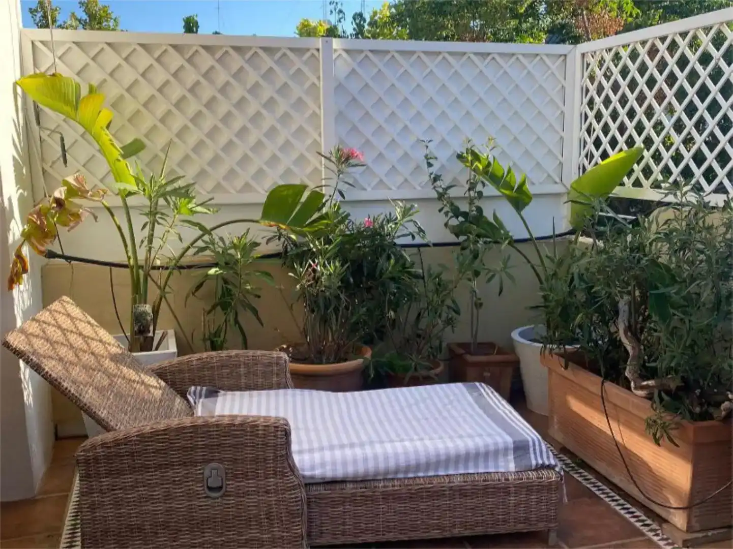 Terrasse von Wohnung zur Miete in Marbella Centro