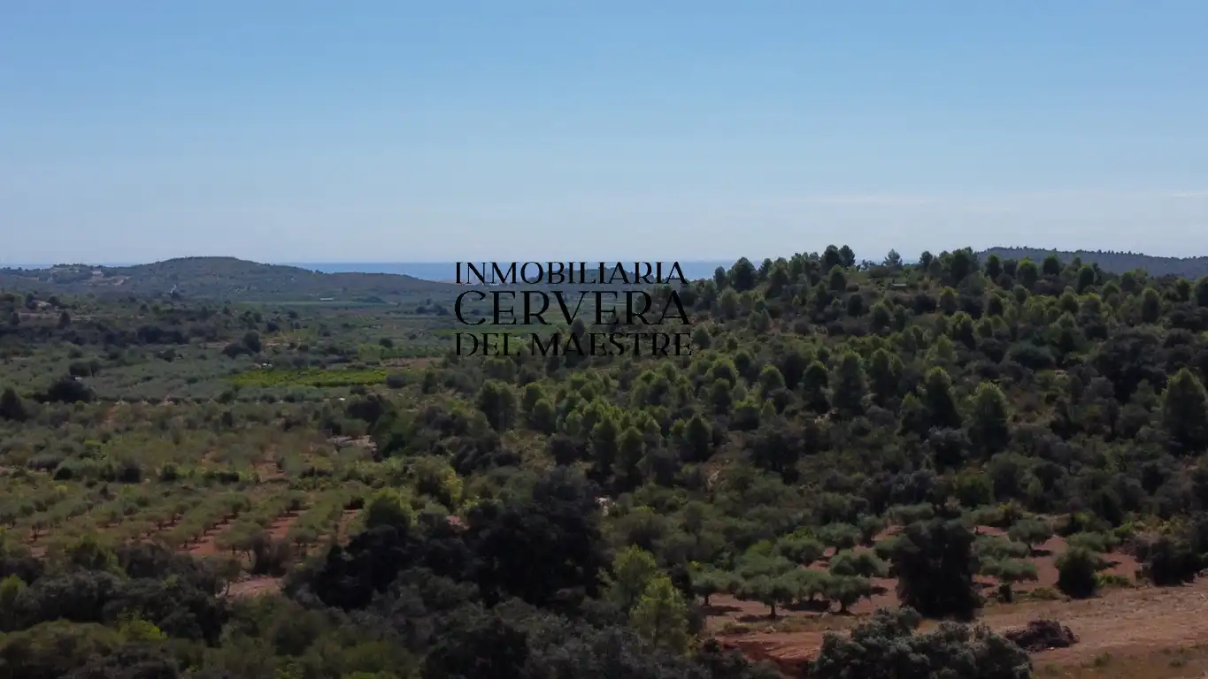 Terreno rustico in vendita a Cervera del Maestre, imagen 12