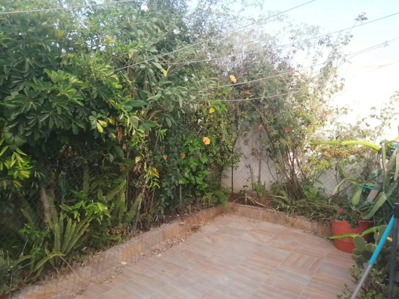 Villa mit Pool zum Verkauf in Sur, imagen 3