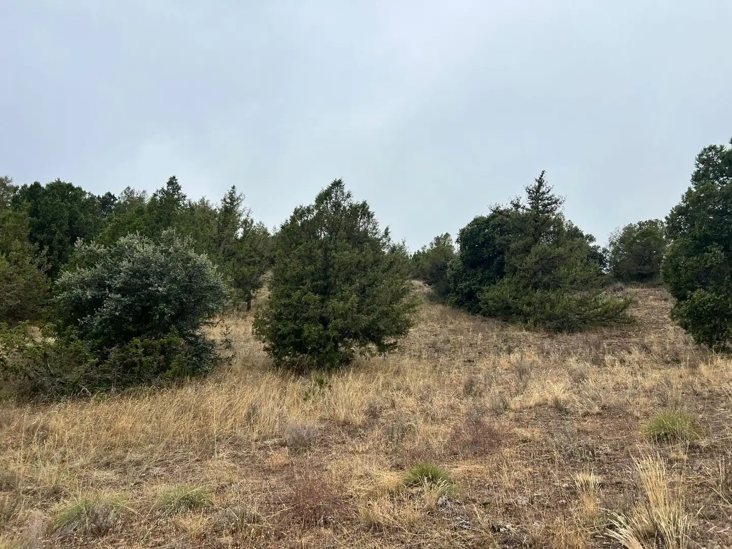 Residencial en venda a Montes Cortos, Duruelo