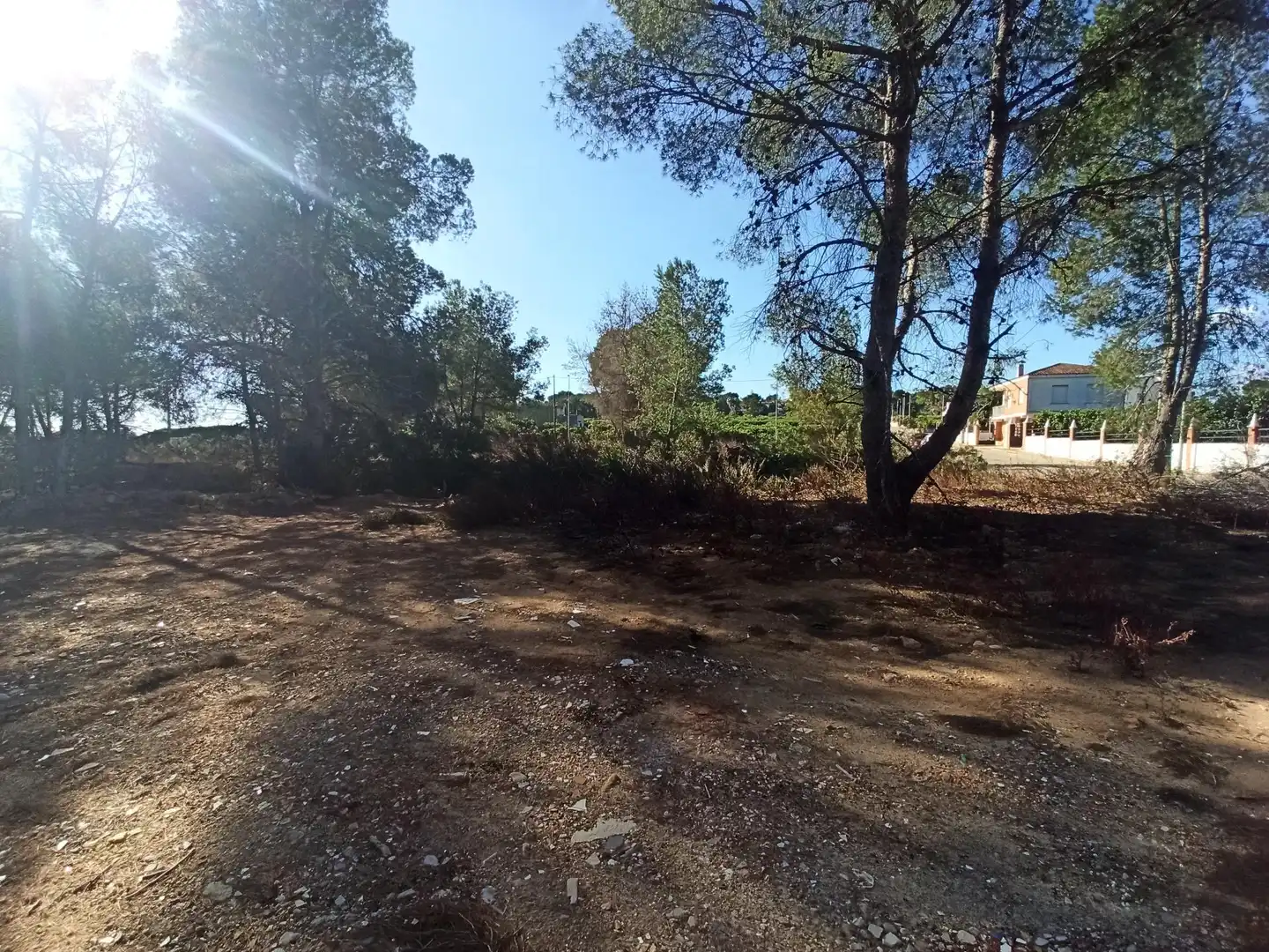 Terreno residencial en venta en Alberic, imagen 6