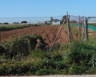 Industrial land for sale in Chipiona