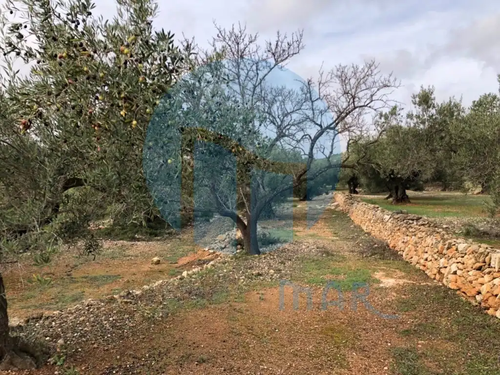 Finca rústica en venda en L'Ampolla