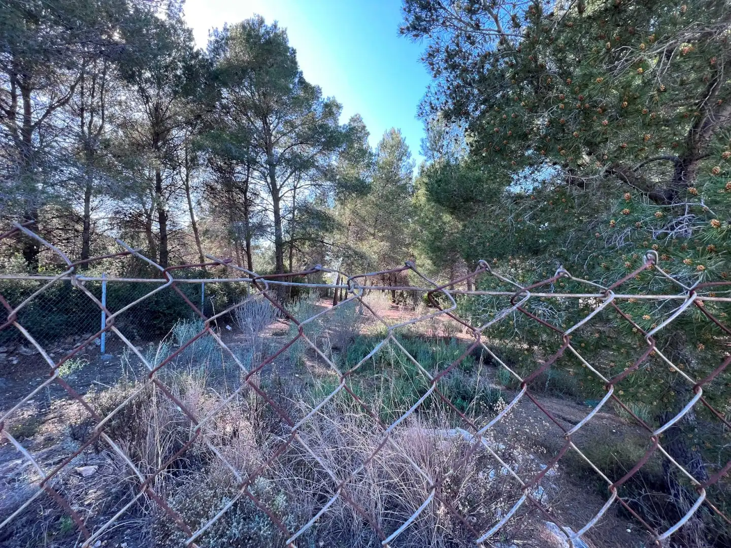 Terrenos y solares en venta en La Vall d'Uixó, imagen 9