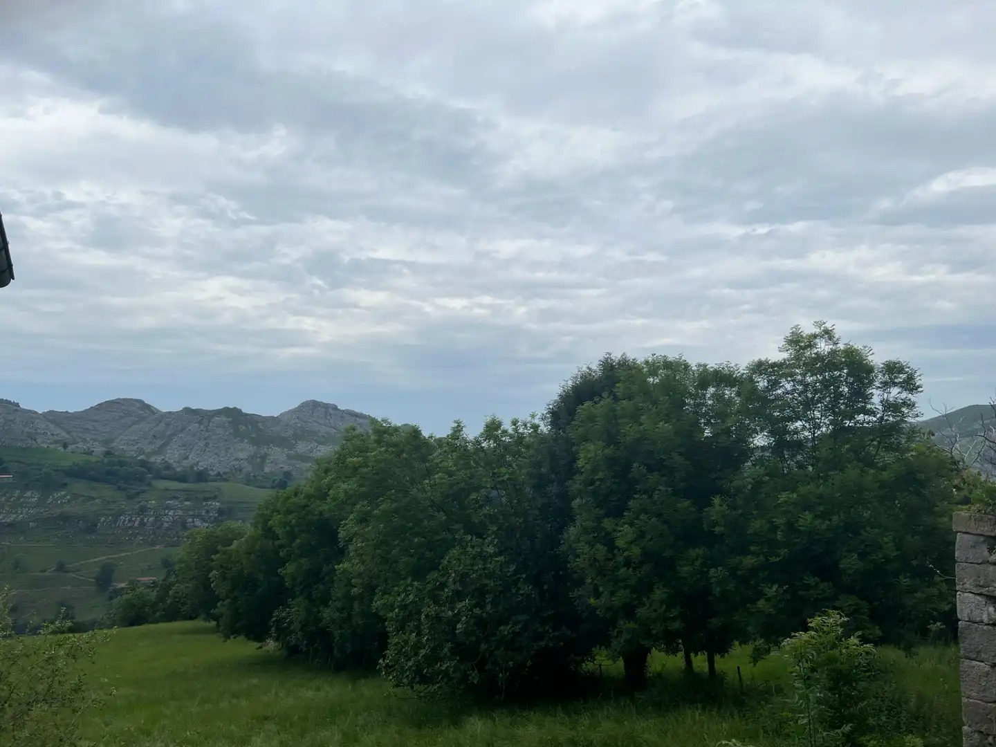 Vista exterior de Finca rústica en venta en Liérganes