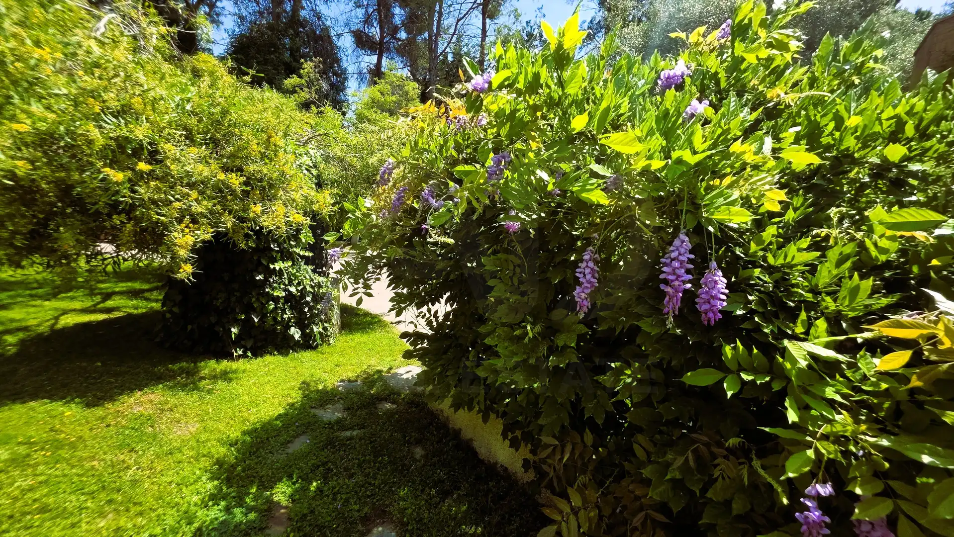 Jardí de Casa o xalet en venda en Sant Cugat del Vallès amb Aire condicionat, Calefacció i Terrassa