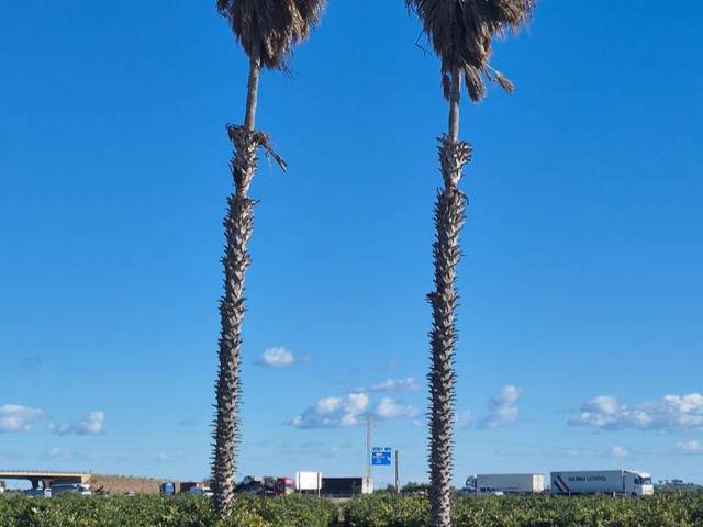Terreno en Venta en Plaça Poligono N-32.R, 4 en Rafelbuñol / Rafelbunyol