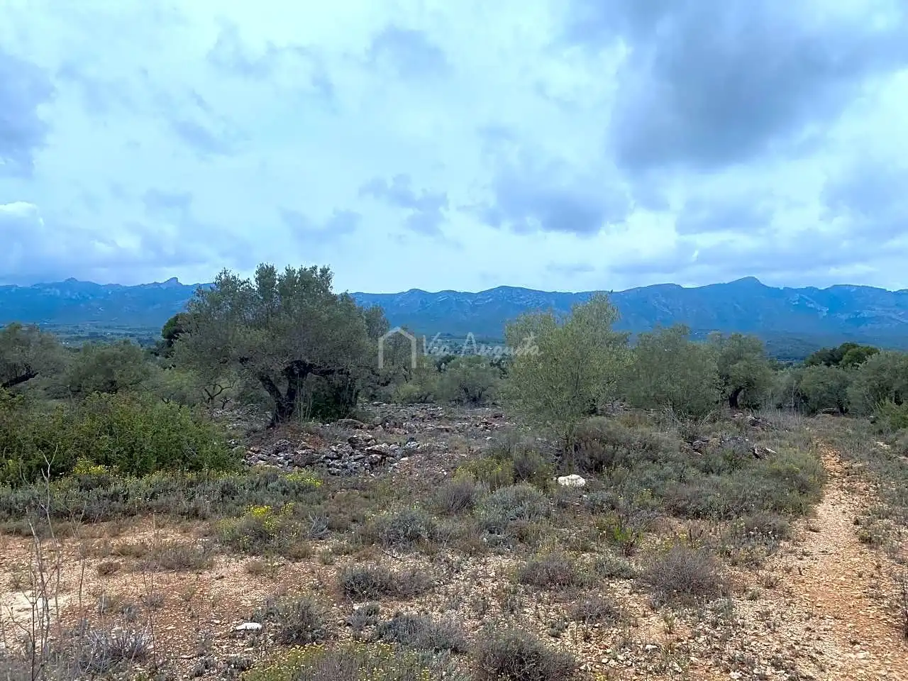 Terreno rustico in vendita a Burga, imagen 5