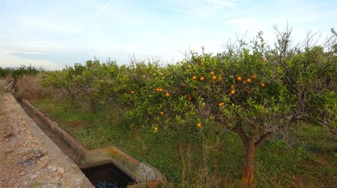Foto 3 de Terreno en venta en Madrigal, Vila-real