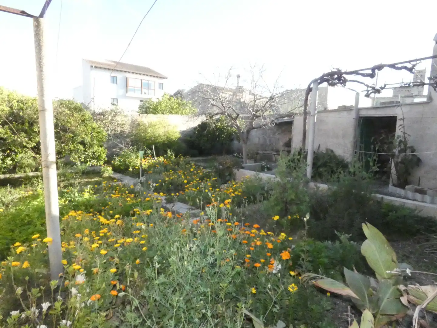 House with garden for sale in Ariany, imagen 19