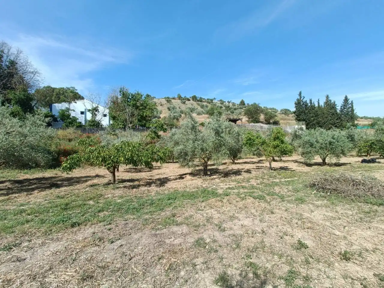 Terreni e lotti in vendita a CASERIA EL POZO LAS CARAS DE CACIN, imagen 66