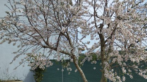 Foto 4 de Casa o xalet en venda a Carrer Collsacabra, Residencial Park, Maçanet de la Selva