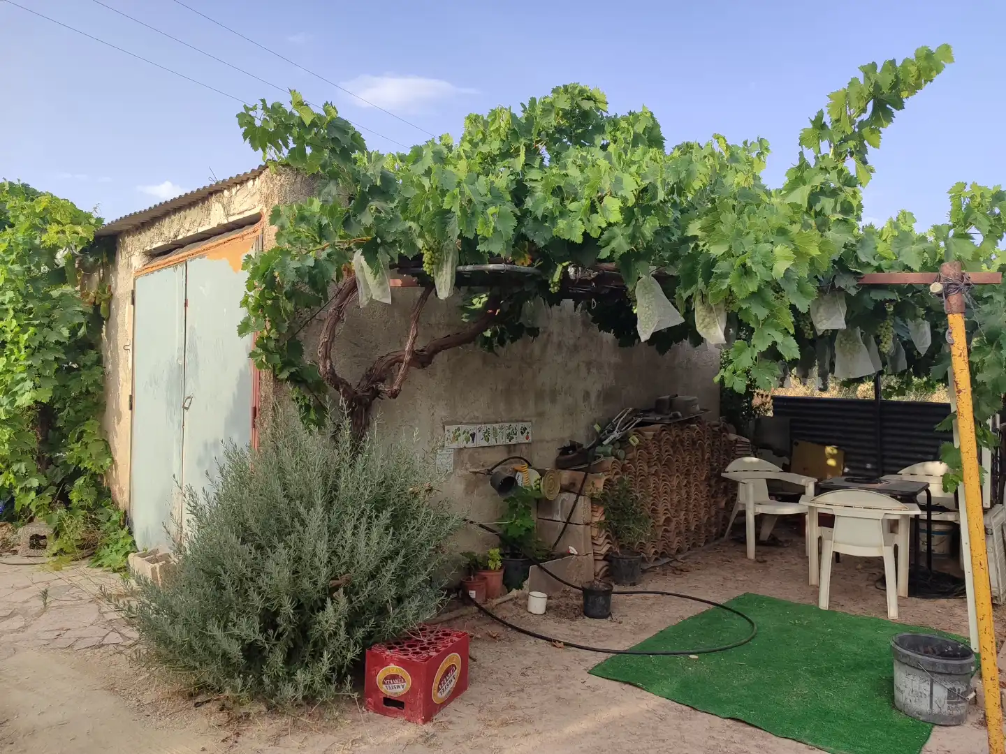 Garden of Country homes for sale in Bullas