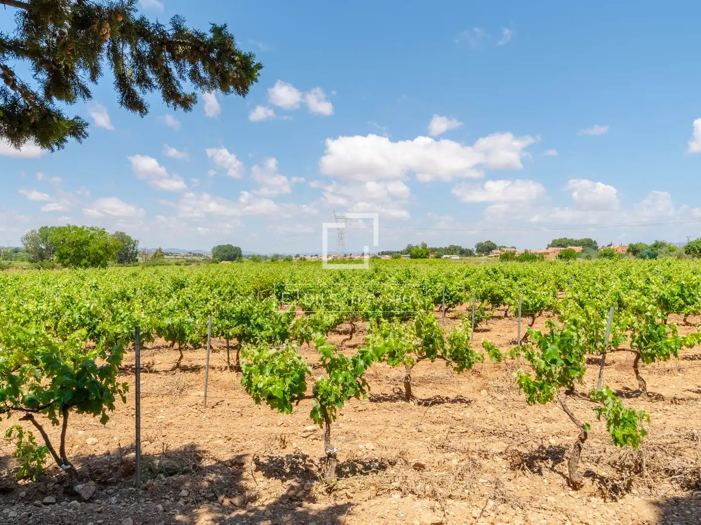 Finca rústica en venda en Requena amb Calefacció, Jardí privat i Terrassa