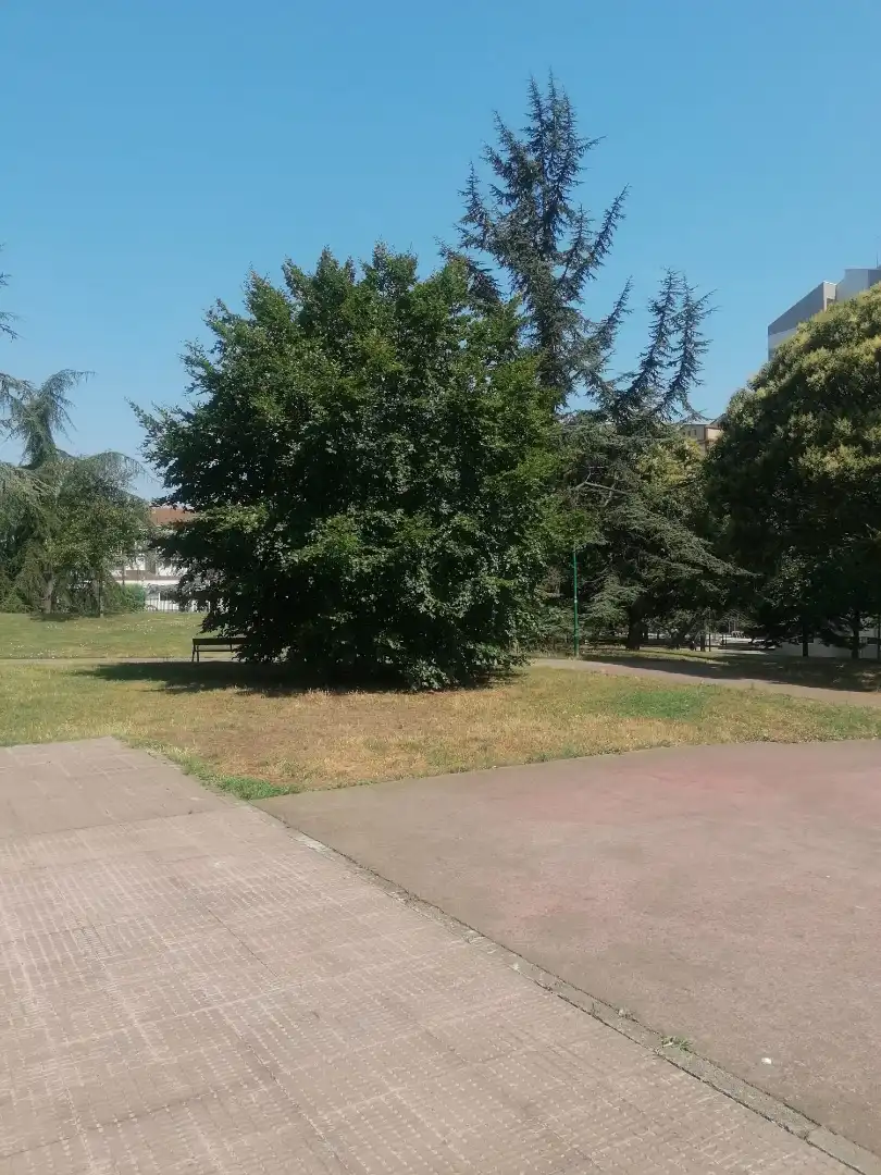 Flat for rent in Gijón   with Heating, Parquet flooring and Furnished