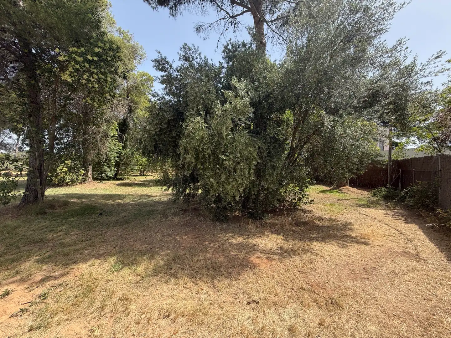 Residencial en venda a Camí de Lleida, 14, Els Alamús
