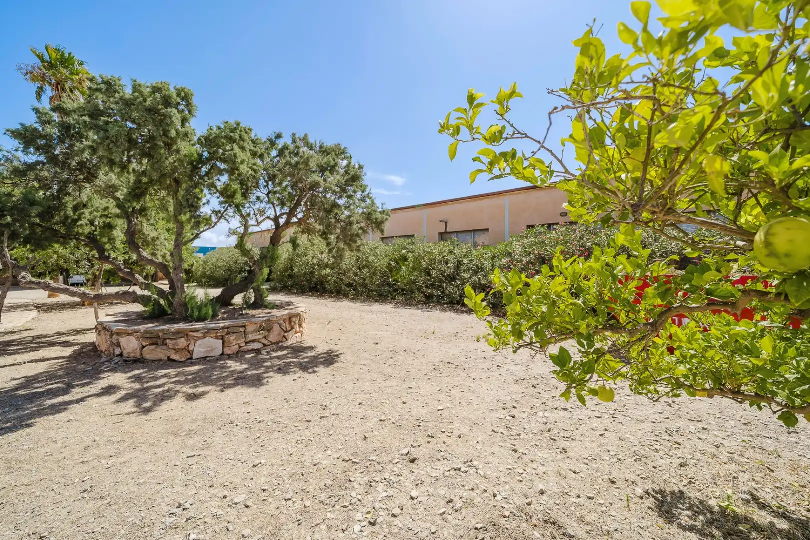 Casa en venta en Balsicas, imagen 9