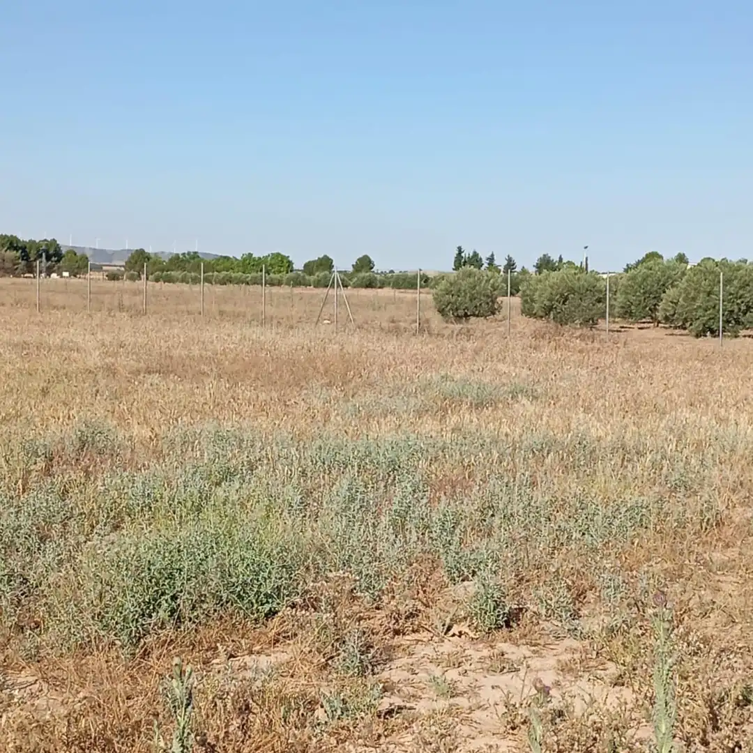 Terreny rústic en venda a Camino del Cuadrado 50, imagen 12