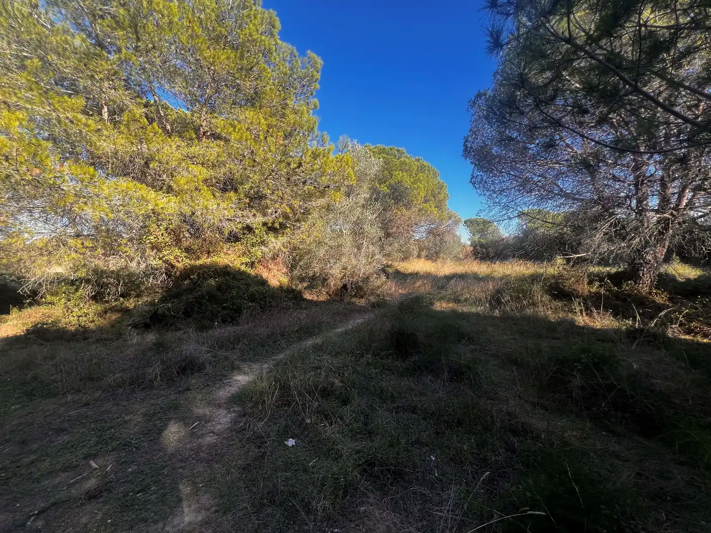 Residencial en venda en Palamós