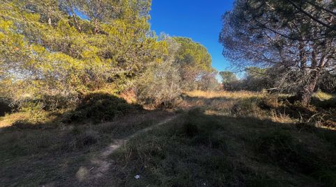 Photo 5 of Residential for sale in Centre, Palamós