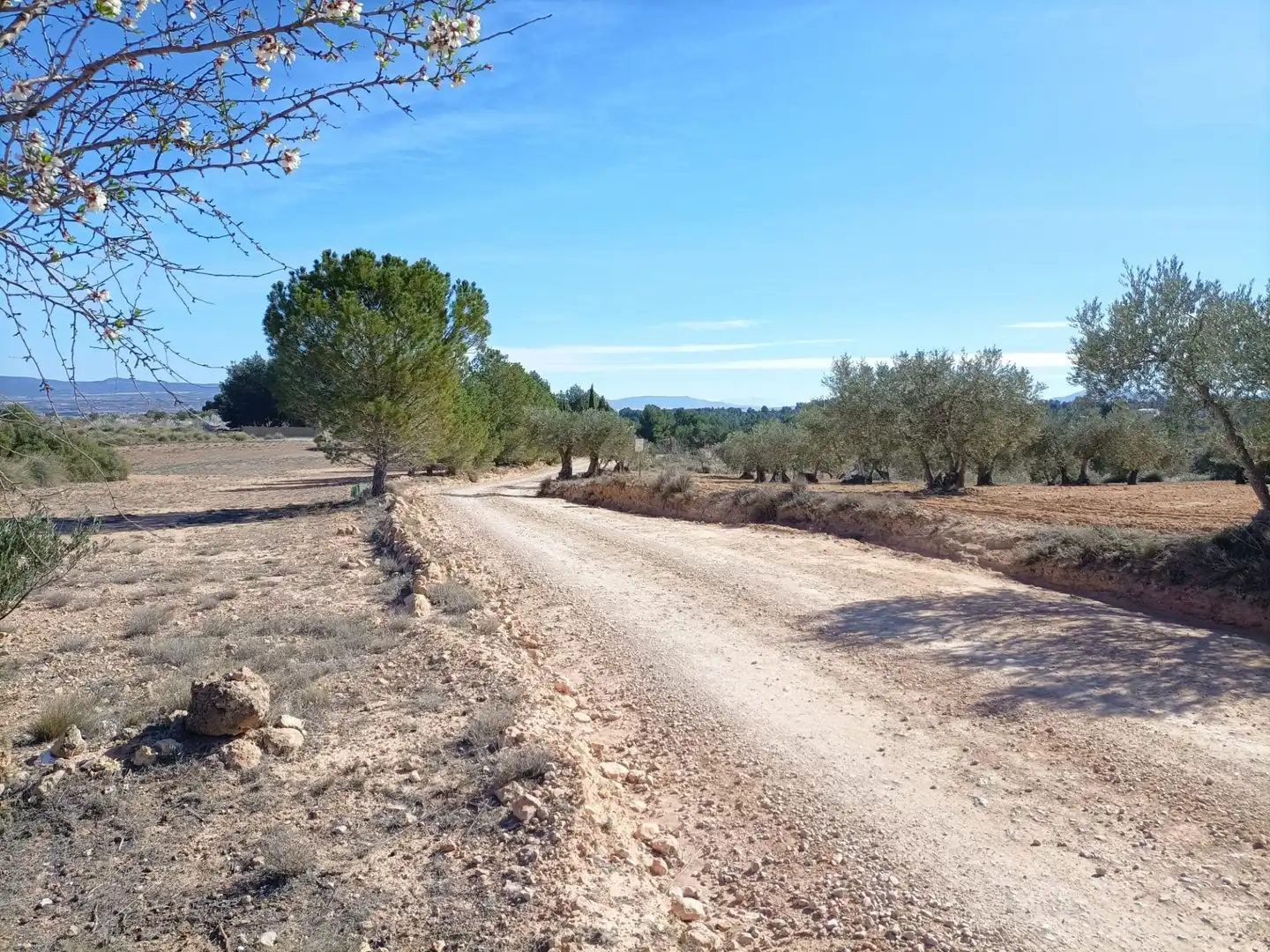 Wohnbaugrundstück zum Verkauf in Almansa, imagen 4