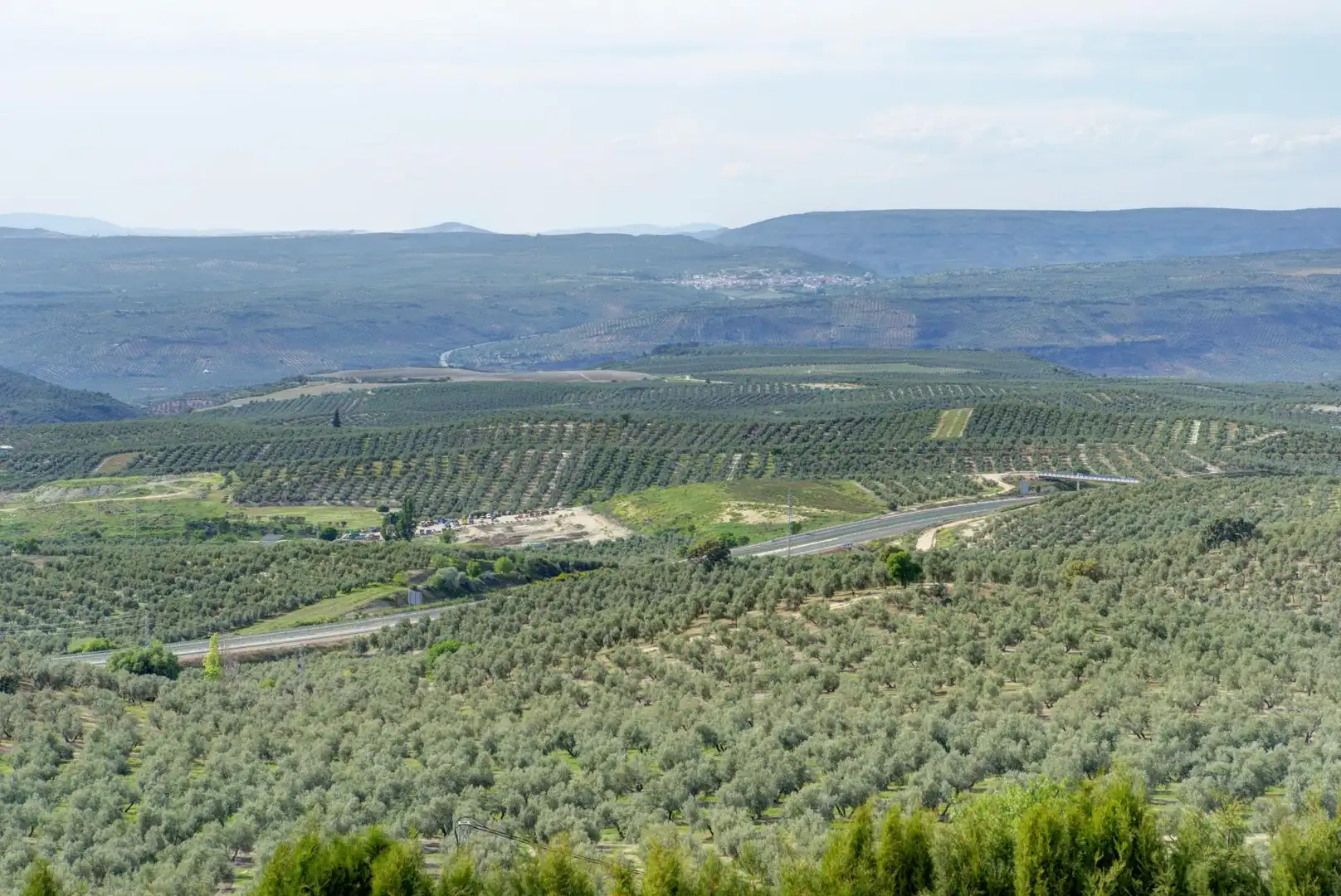 Vista exterior de Casa o xalet en venda en Jaén amb Jardí privat, Terrassa i Piscina