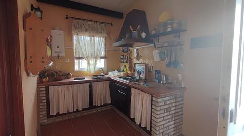 Foto 4 de Finca rústica en venta en Pelagatos - Pago del Humo, Cádiz