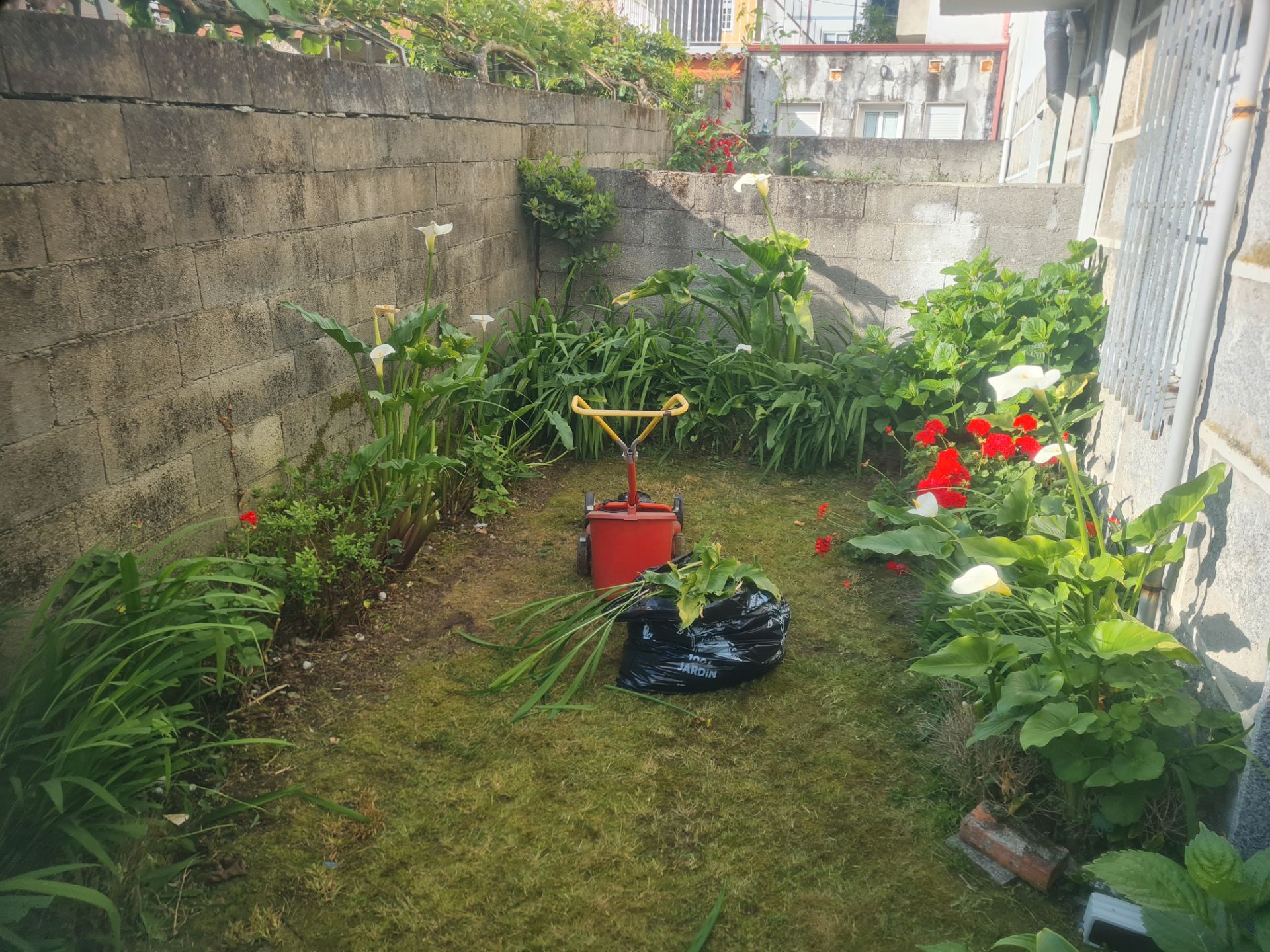 Garten von Einfamilien-Reihenhaus miete in Ourense Capital  mit Heizung, Privatgarten und Möbliert